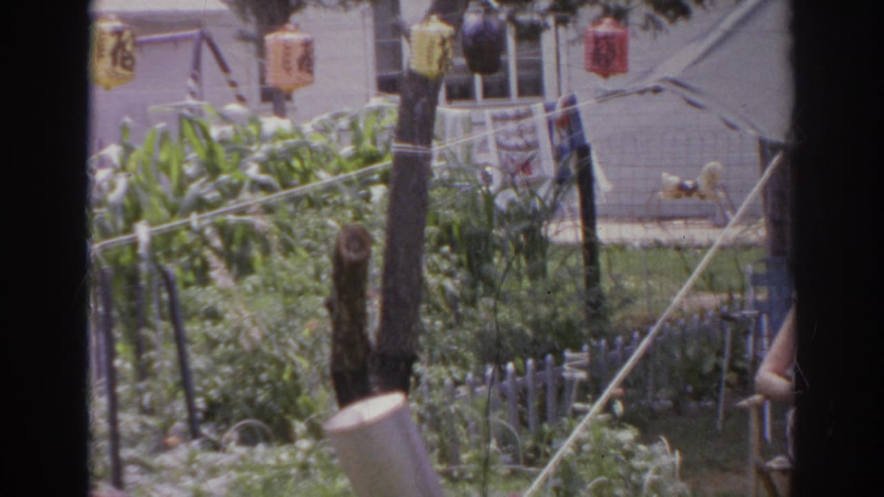 Backyard garden seen through dark window bars with plants, lanterns, fencing, and a partial seated figure.