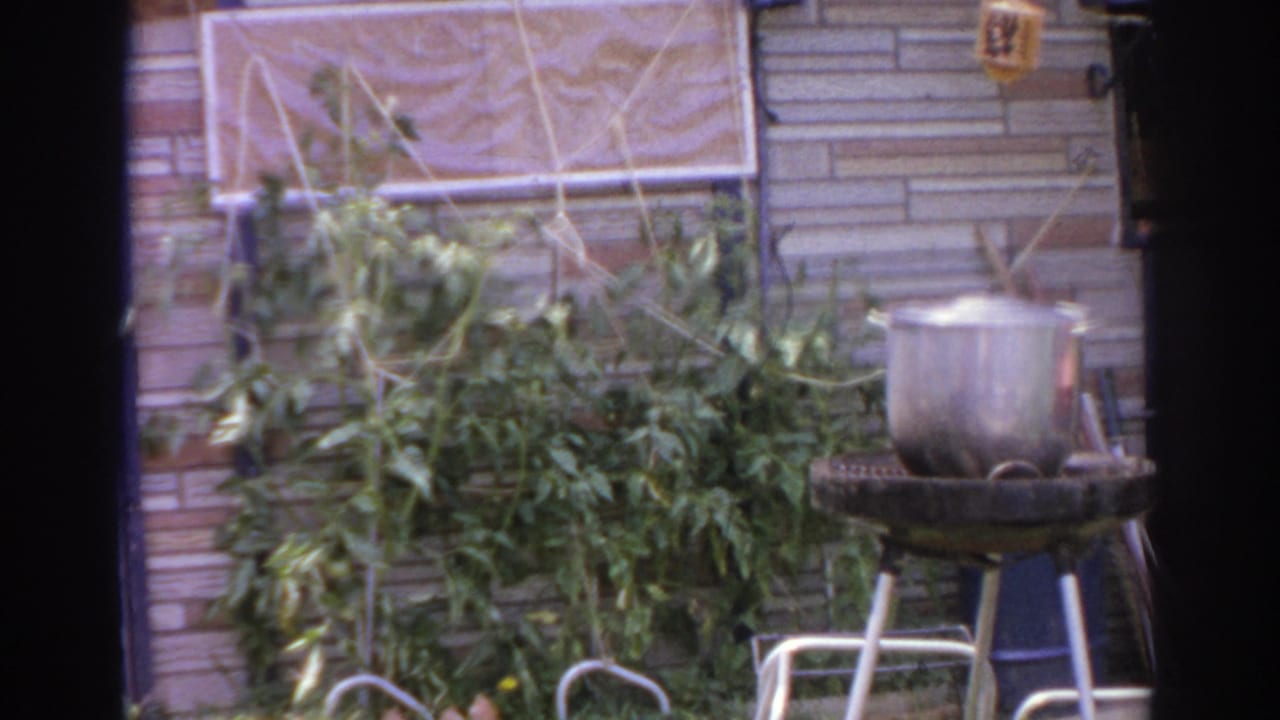 Backyard patio with a metal pot on a small grill beside leafy plants and brick siding.