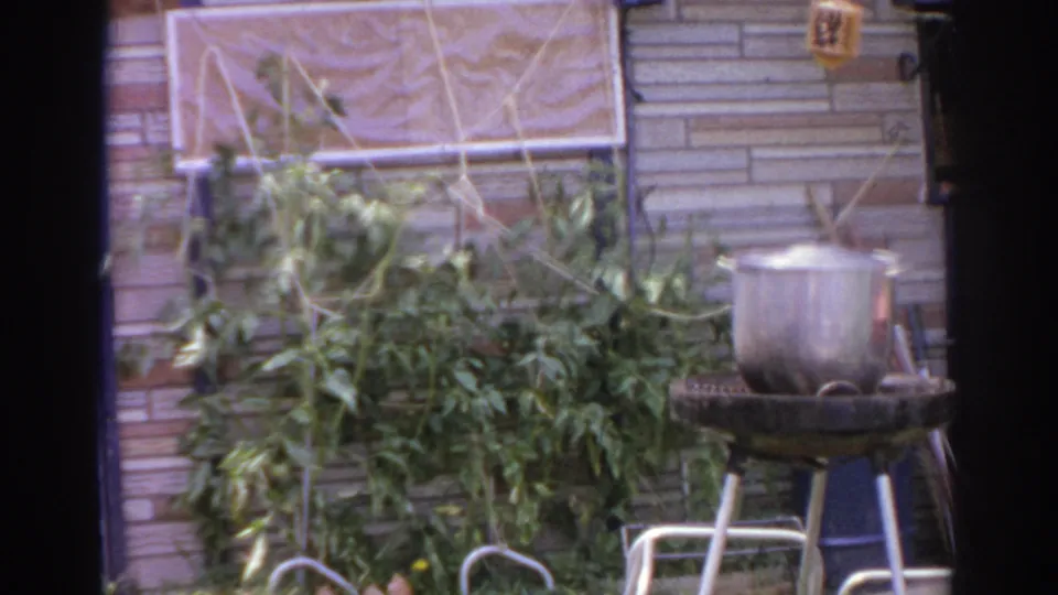 1966 Norfolk, Virginia home-movie frame showing a patio grill with a metal pot, leafy plants, trellis, and brick exterior wall.