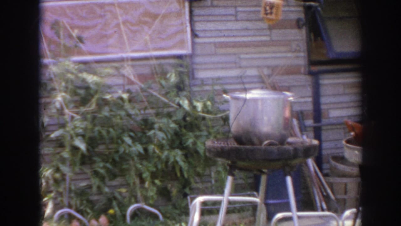 Patio grill and metal pot seen through dark vertical framing with plants and brick wall behind.