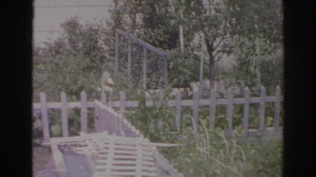1966 Norfolk home-movie frame showing a sunlit backyard with white picket fence, planted garden area, and a wooden ramp.