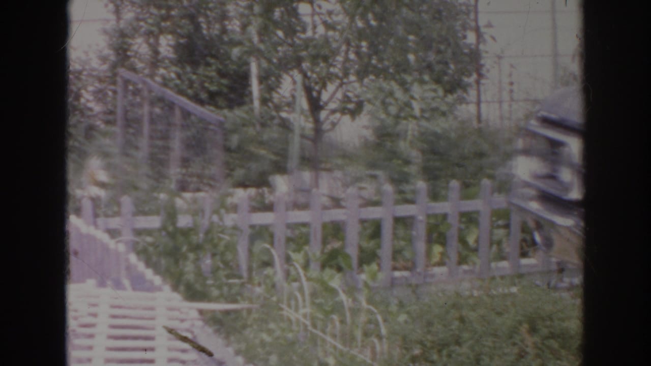 1966 Norfolk home-movie frame with a white backyard fence, greenery, trees, and a partial structure at the edge of the frame.