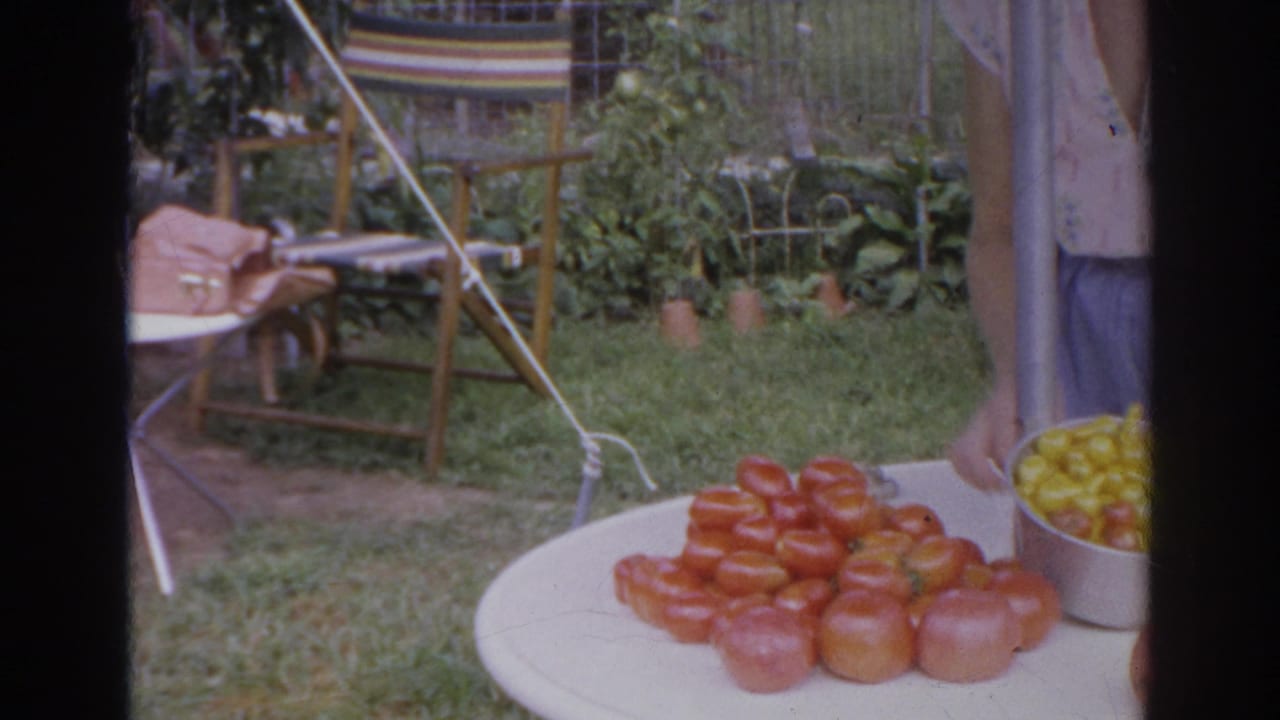 Outdoor table with piles of red tomatoes and a bowl of yellow tomatoes.