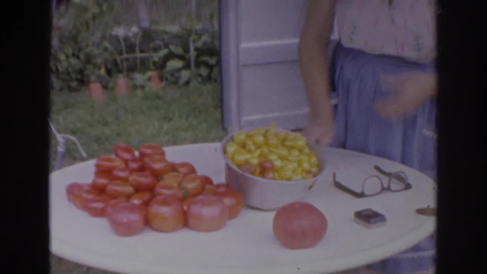 A white outdoor table displays red tomatoes, a bowl of yellow cherry tomatoes, a single large tomato, eyeglasses, and a small dark case beside the partly visible woman.