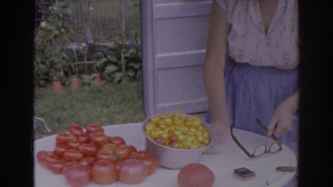 Woman at an outdoor table with red and yellow tomatoes in a backyard garden.