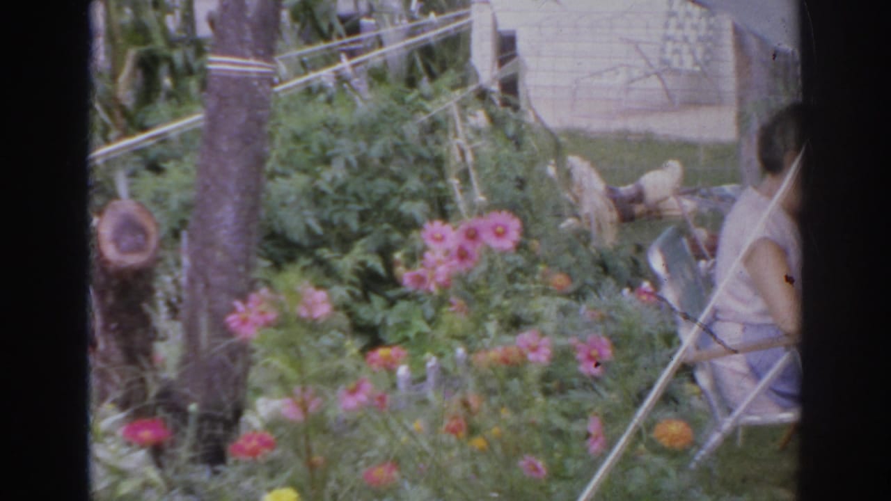 Woman seated in a garden beside pink flowers and greenery.
