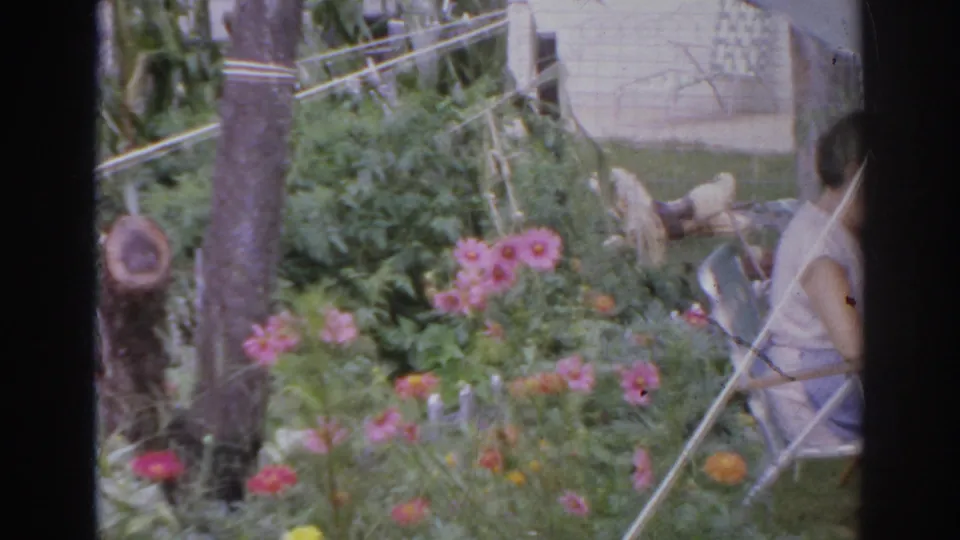In 1966 Norfolk home-movie footage, a woman sits in a folding chair amid pink flowers and backyard greenery.
