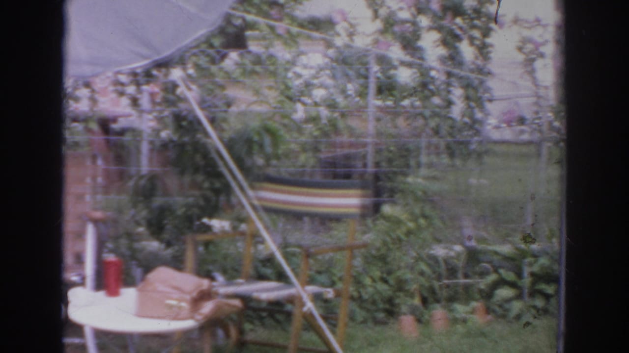 Norfolk 1966 home-movie frame showing patio tables beneath a white umbrella, a purse and thermos, dense vines, trellis, and grass.