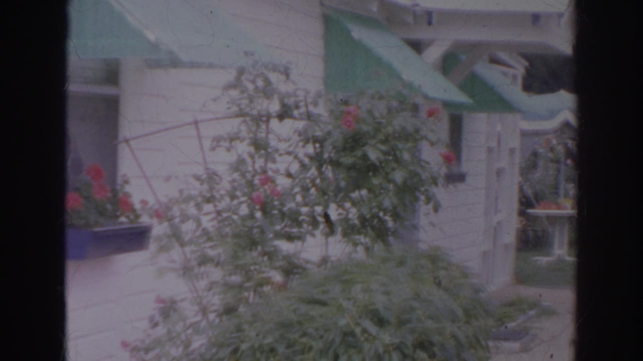 1966 Norfolk exterior view with white siding, green awnings, flowering plants, and a trellis near the house.