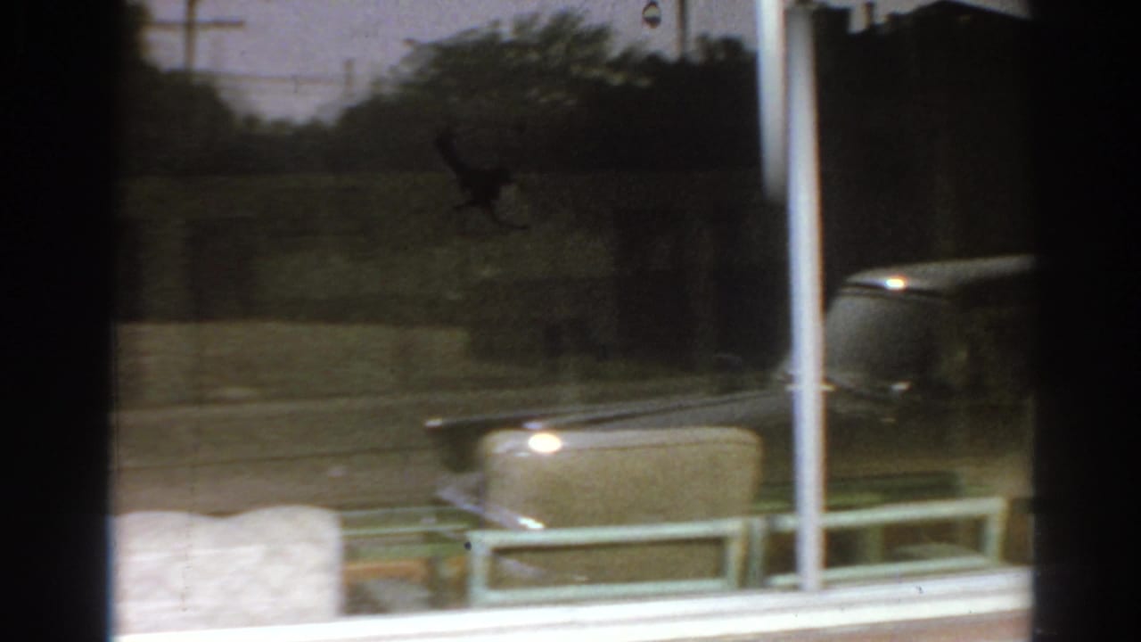 View through a window toward a green lawn, white pole, shrubs, and a blurred car outside.