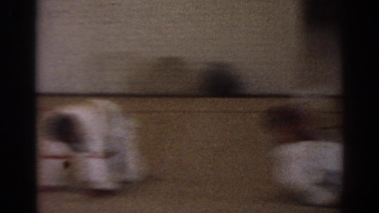 San Gabriel martial arts training frame with blurred figures in white gi bending or rolling near the floor.