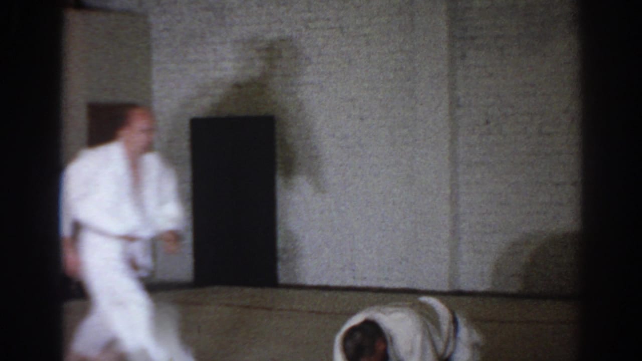 Two men in white martial arts uniforms practice on a mat inside a dojo.
