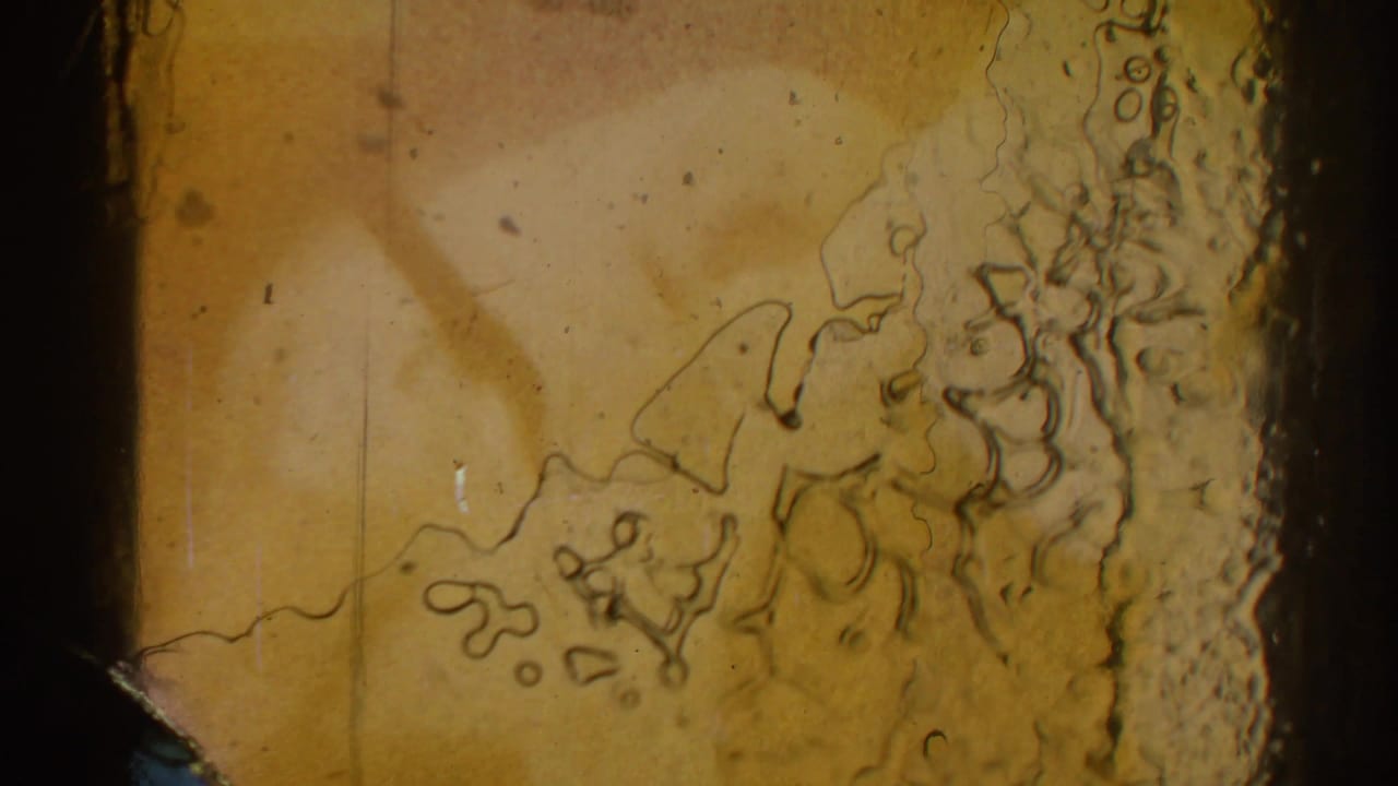 Close view of scratched, discolored 8mm film surface preceding or between judo match images from the 1966 San Gabriel clip.