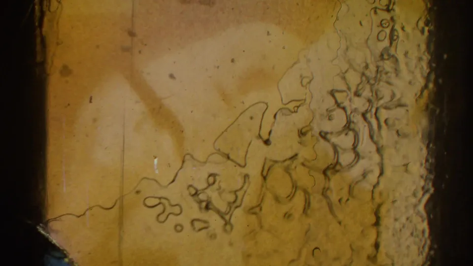 Close view of scratched, discolored 8mm film surface preceding or between judo match images from the 1966 San Gabriel clip.