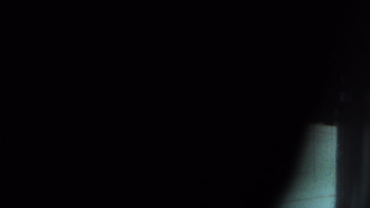 Mostly dark frame with a narrow pale vertical area at the right edge.