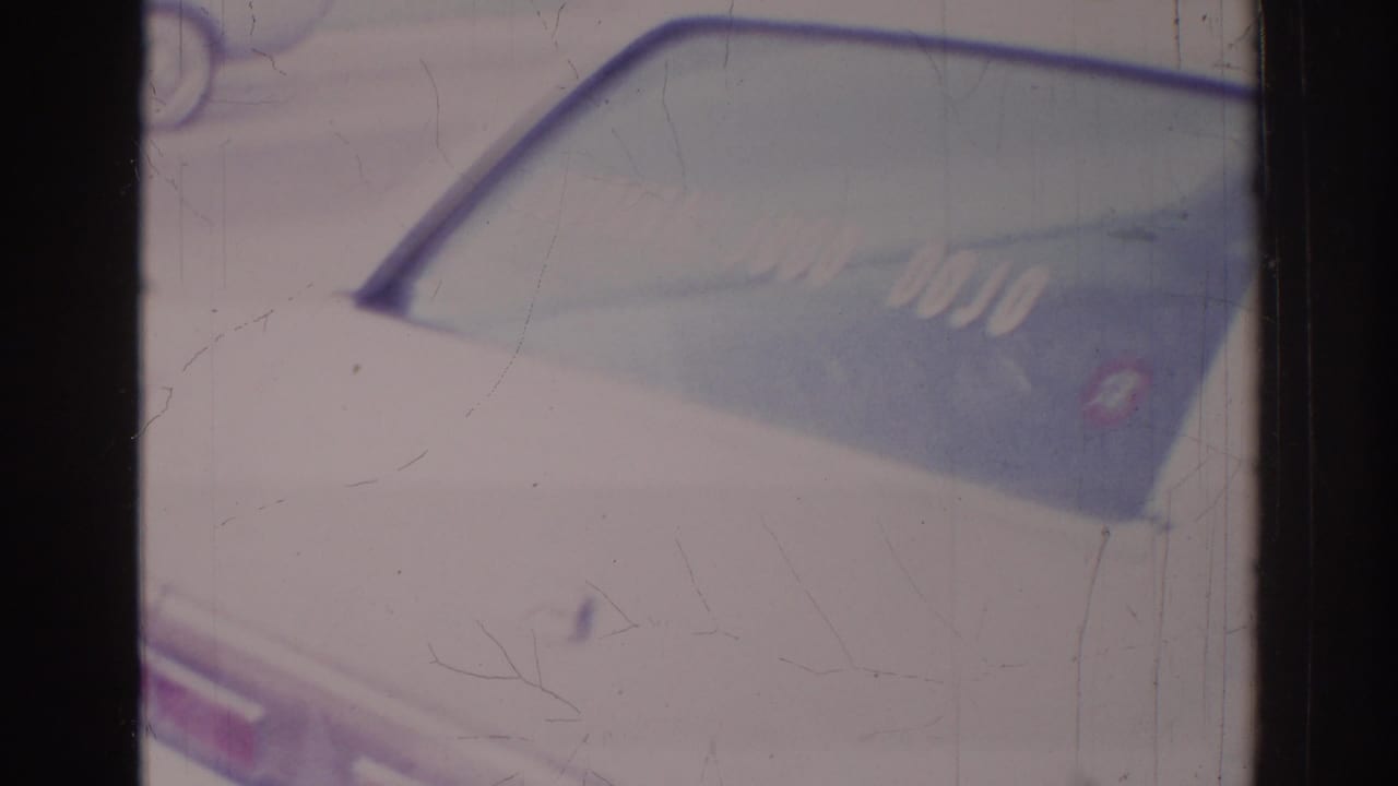 Rear side window of a pale sedan with a dojo sticker visible through soft exposure.