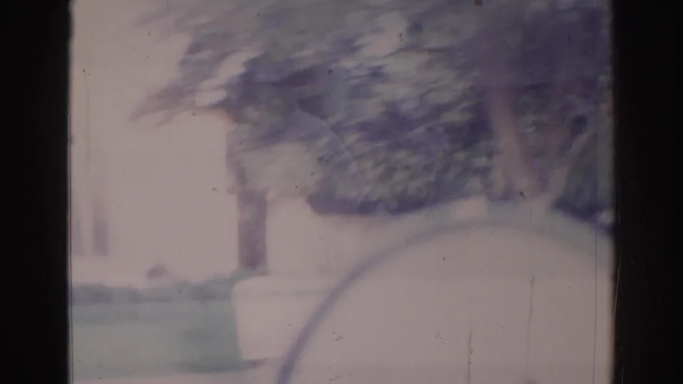 Temple City residential scenery appears through a hazy car-window view, with trees, grass, and a light building front.