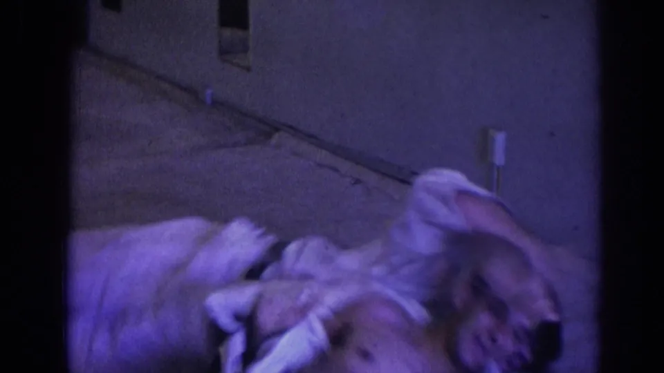 1966 Temple City home-movie frame showing two young men in white gis wrestling playfully on a bed in a private interior.
