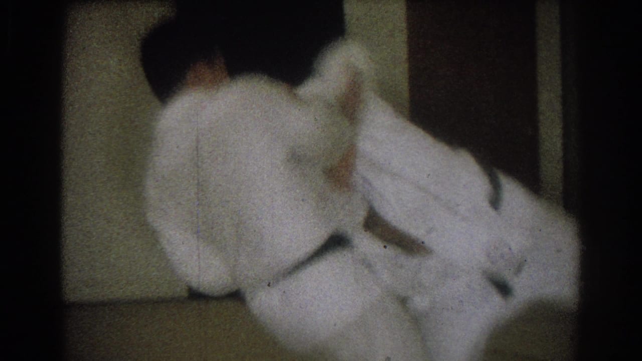 A martial arts practice move reaches a takedown moment as one man in a white gi lowers or throws the other in 1966 footage.
