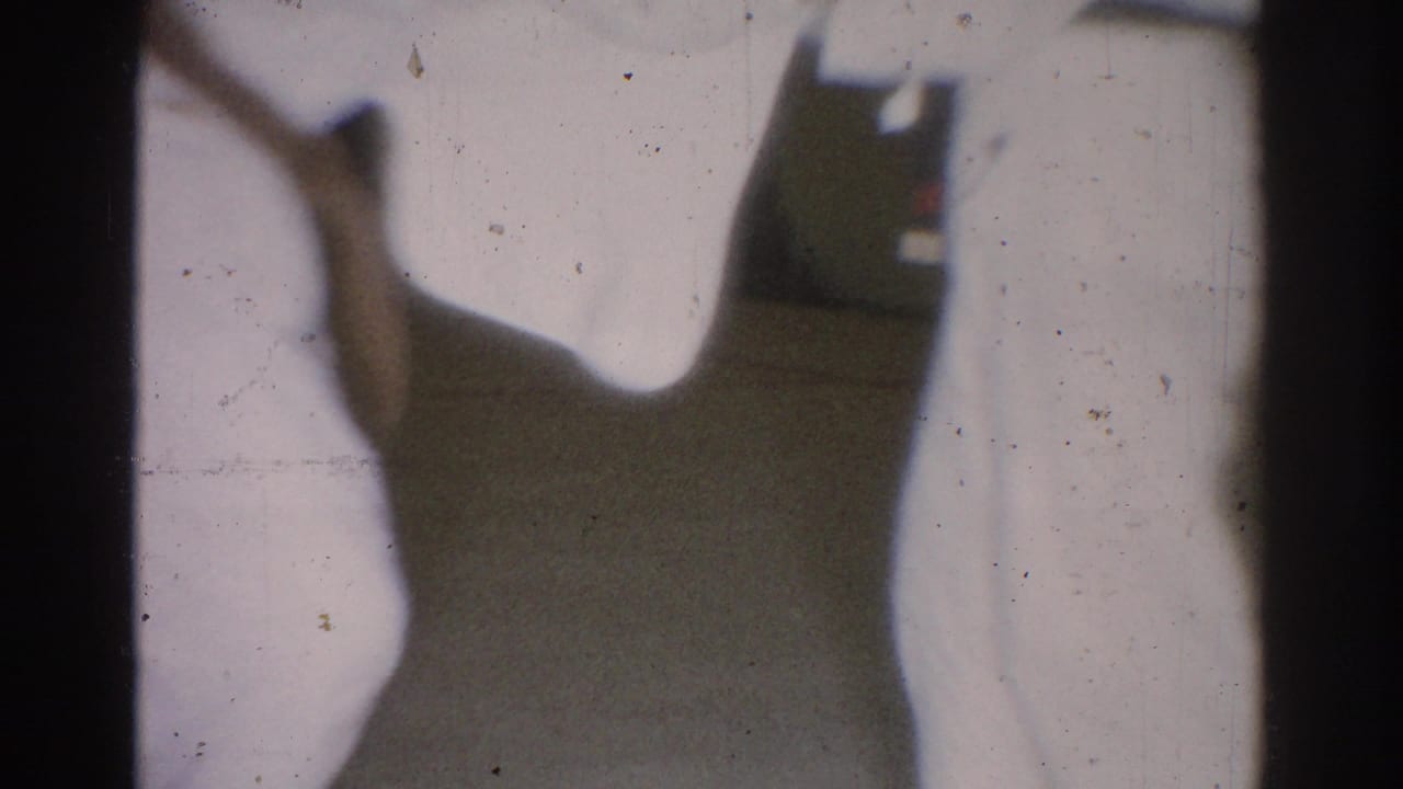 The final frame shows a cropped close view of the judo pair, white gis filling the foreground with a bench visible behind them.