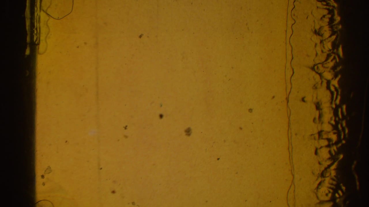 A yellow-orange 8mm frame shows film texture, dirt, edge staining, and little readable scene detail from the tournament.