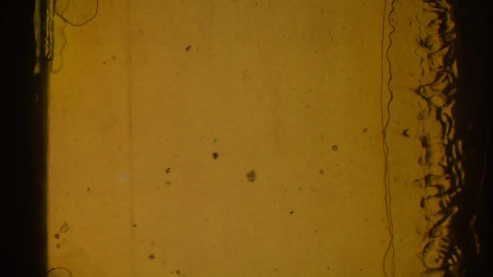 A yellow-orange 8mm frame shows film texture, dirt, edge staining, and little readable scene detail from the tournament.