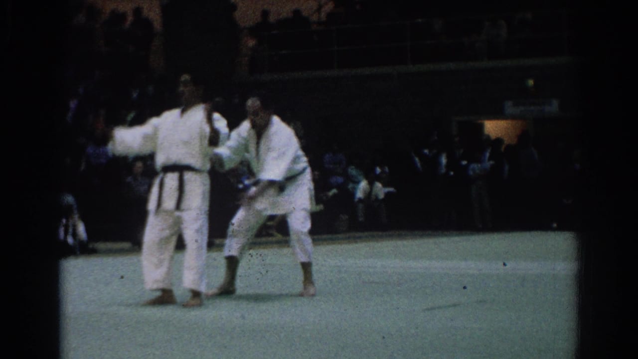 Two martial artists face each other on a green mat before seated spectators.