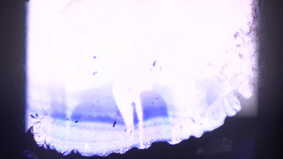 An overexposed 8mm frame from the 1967 Los Angeles clip shows pale interior shapes and visible film-edge texture.