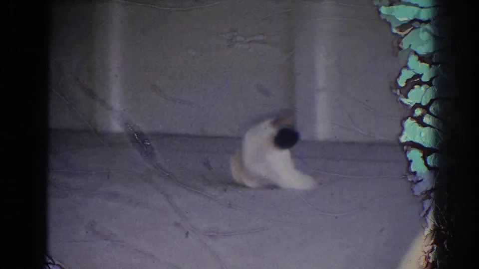A 1967 home-movie frame shows a white-gi practitioner low on the mat during a judo fall or rolling movement.