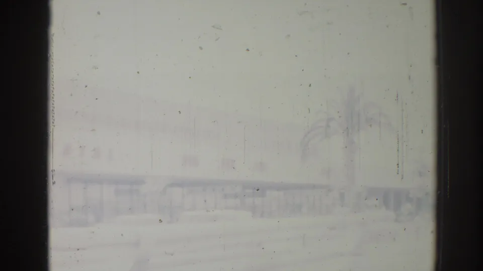 Faint 1967 Los Angeles exterior appears through scratched 8mm film, with a palm tree and low building shapes barely visible.