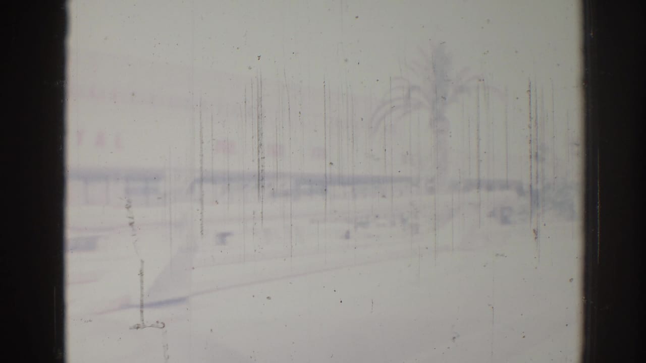 Blurred wet-window view with a palm silhouette, faint horizon line, and vertical streaks.