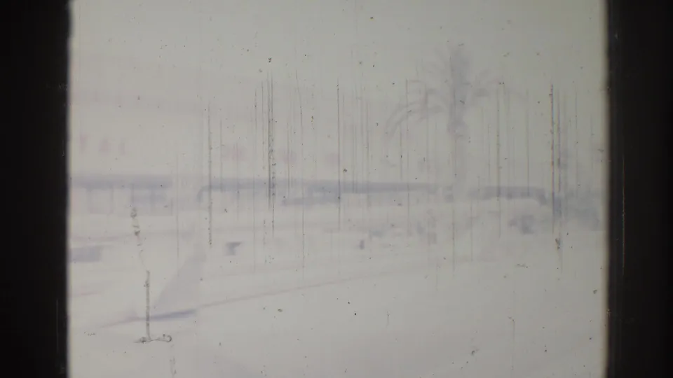 Hazy 1967 Los Angeles view through rain-marked vehicle glass, with a palm silhouette and indistinct roadside structures.