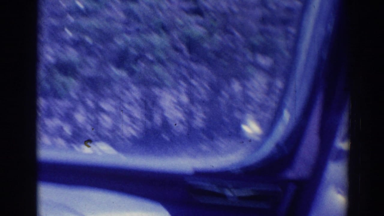 Blue-tinted view through a car window with blurred foliage outside and dark interior framing.