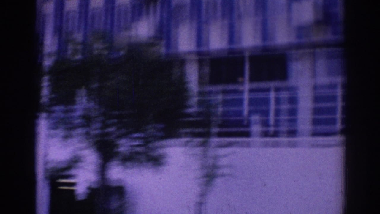 Hotel balconies and windows partly blocked by a tree and dark frame edge.