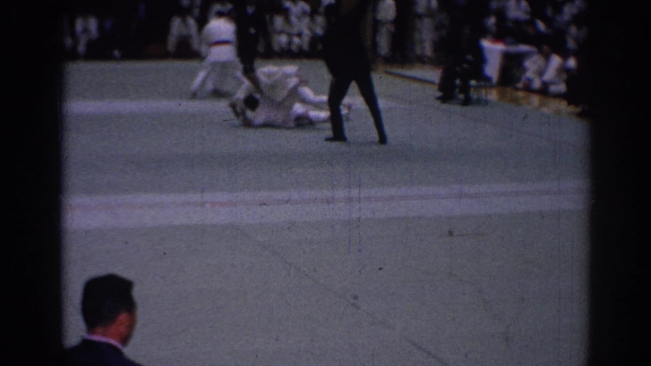 Karate competitors on a green mat with a referee nearby and spectators in the background.