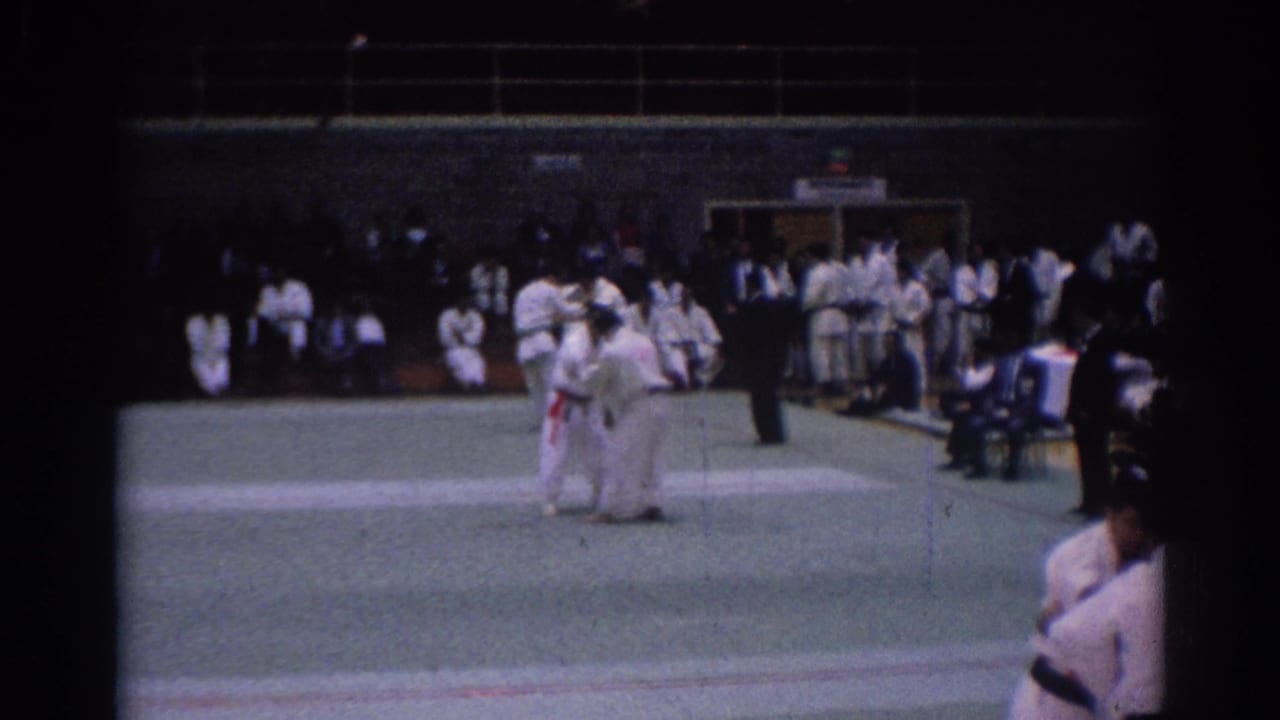 Two martial arts competitors in white gi stand on a green mat with spectators behind them.