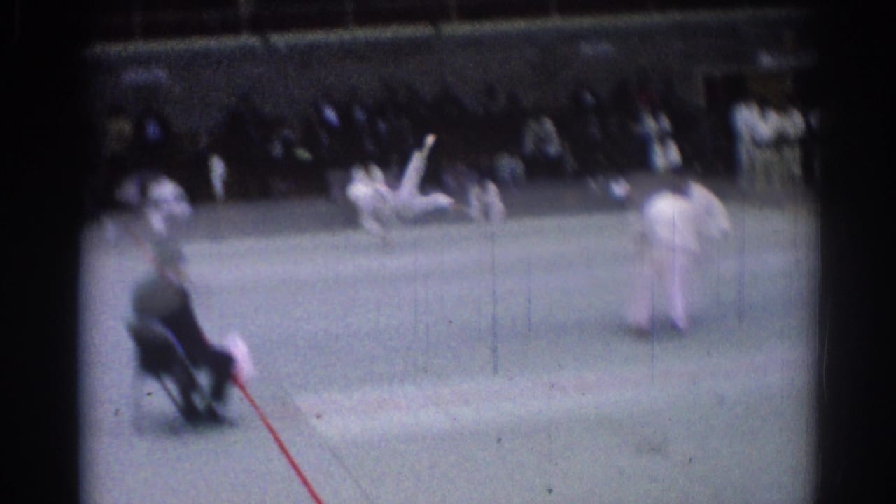 Blurred judo match on a green mat with a seated official and spectators behind.