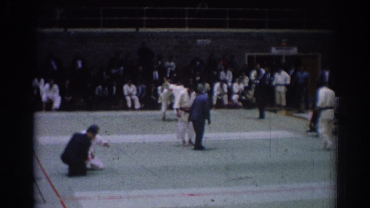 Karate competitors and judges on a green auditorium mat with spectators seated behind them.