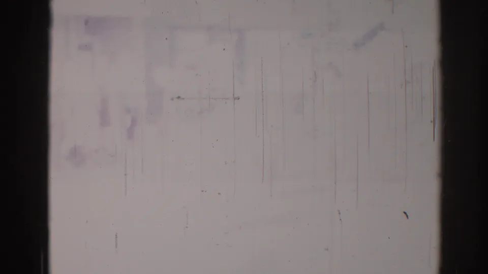 Damaged 8mm parade frame from 1967 Los Angeles with faint performers near the lower left and heavy film abrasion.