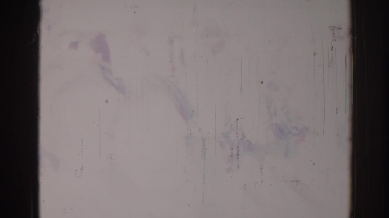 Overexposed 8mm frame with faint color traces, vertical scratches, and little readable parade detail.