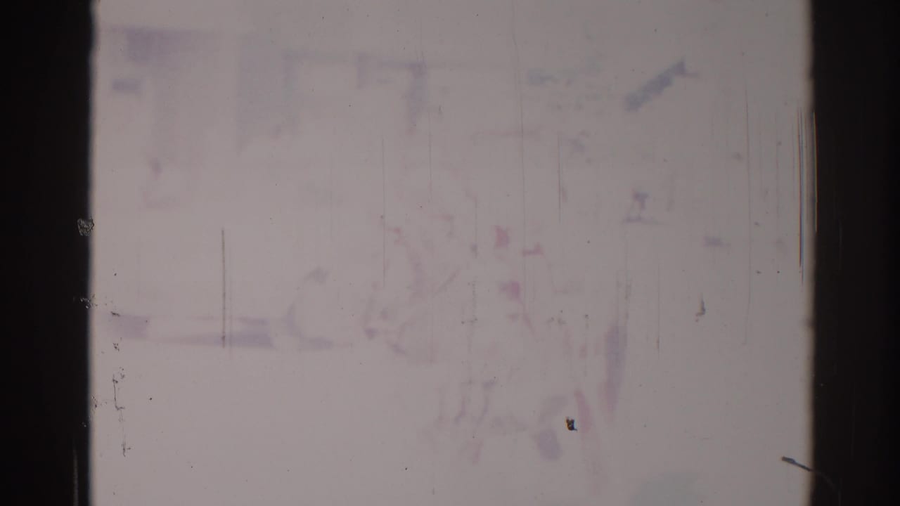 Faded 1967 Los Angeles home-movie frame with the rider and horse faintly visible against a bright urban street.