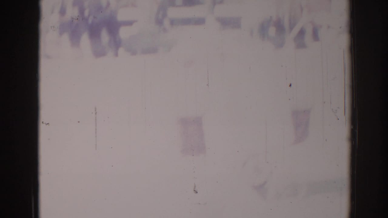 Washed-out frame with faint spectators near the top and dark 8mm film borders.