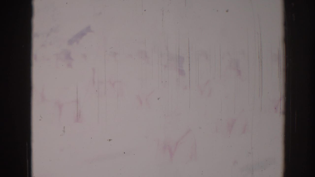 Near the end of the clip, the Los Angeles parade scene is barely visible, reduced to pale street forms, scratches, and dark 8mm borders.