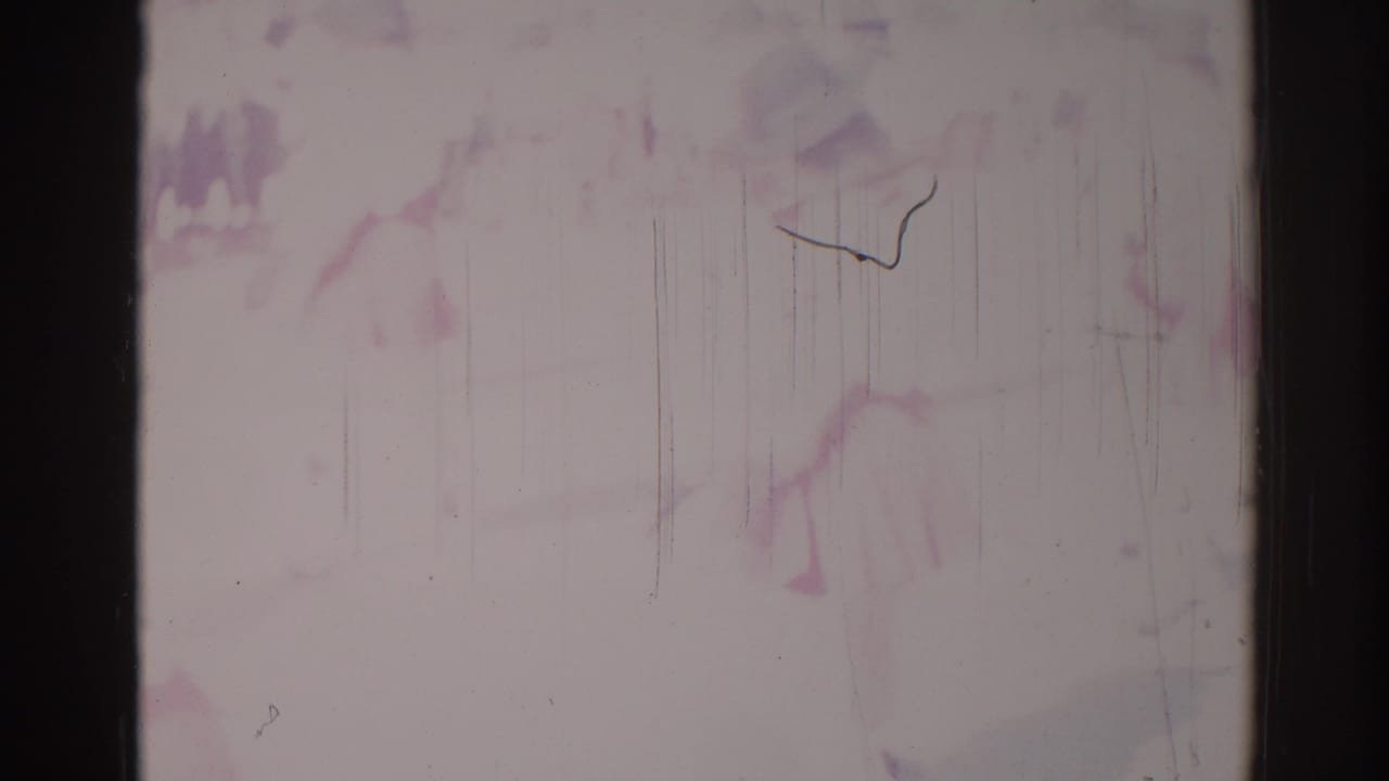Soft, faded 8mm view from the Los Angeles parade clip, with barely readable people and surface wear dominating the frame.