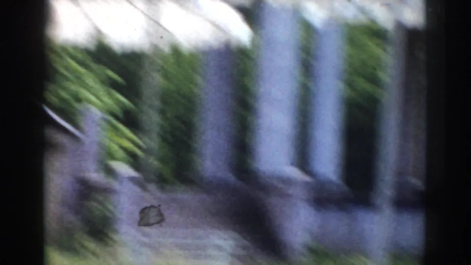 A handheld 8mm frame shows columns, plants, and a paved outdoor area in the Moscow clip.