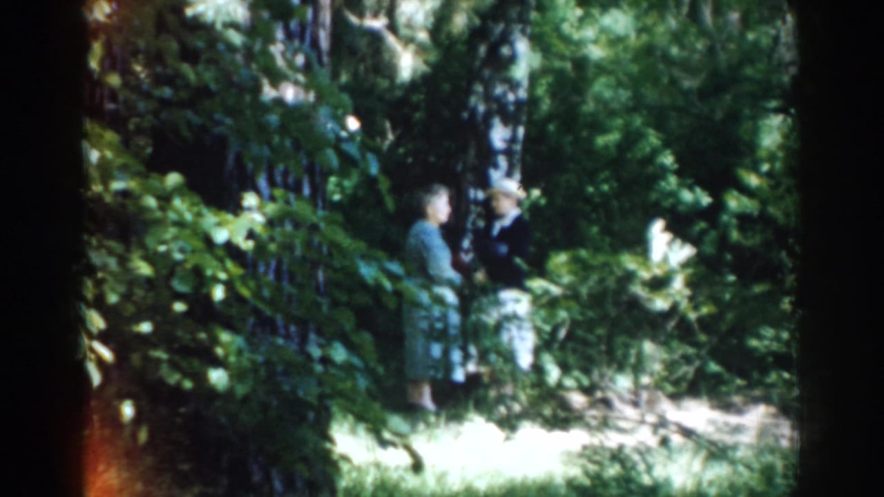 Two adults stand beneath dense green trees in a sunlit wooded area.