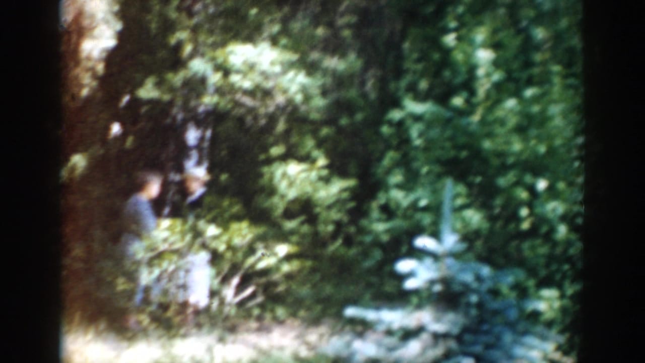 Two adults are partly obscured by foliage near a small evergreen shrub.