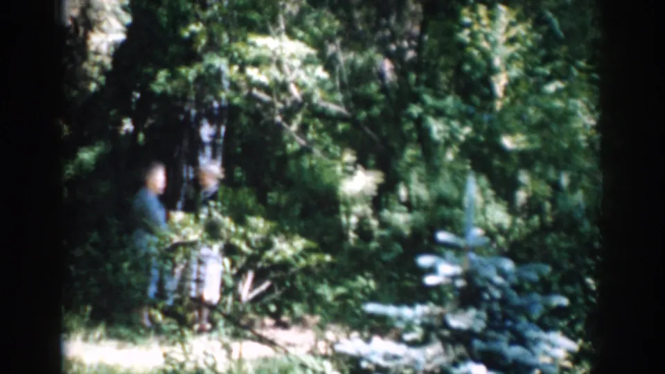 The figures remain in soft focus under trees, framed by thick foliage and a sunlit patch of ground in this 1968 Moscow clip.