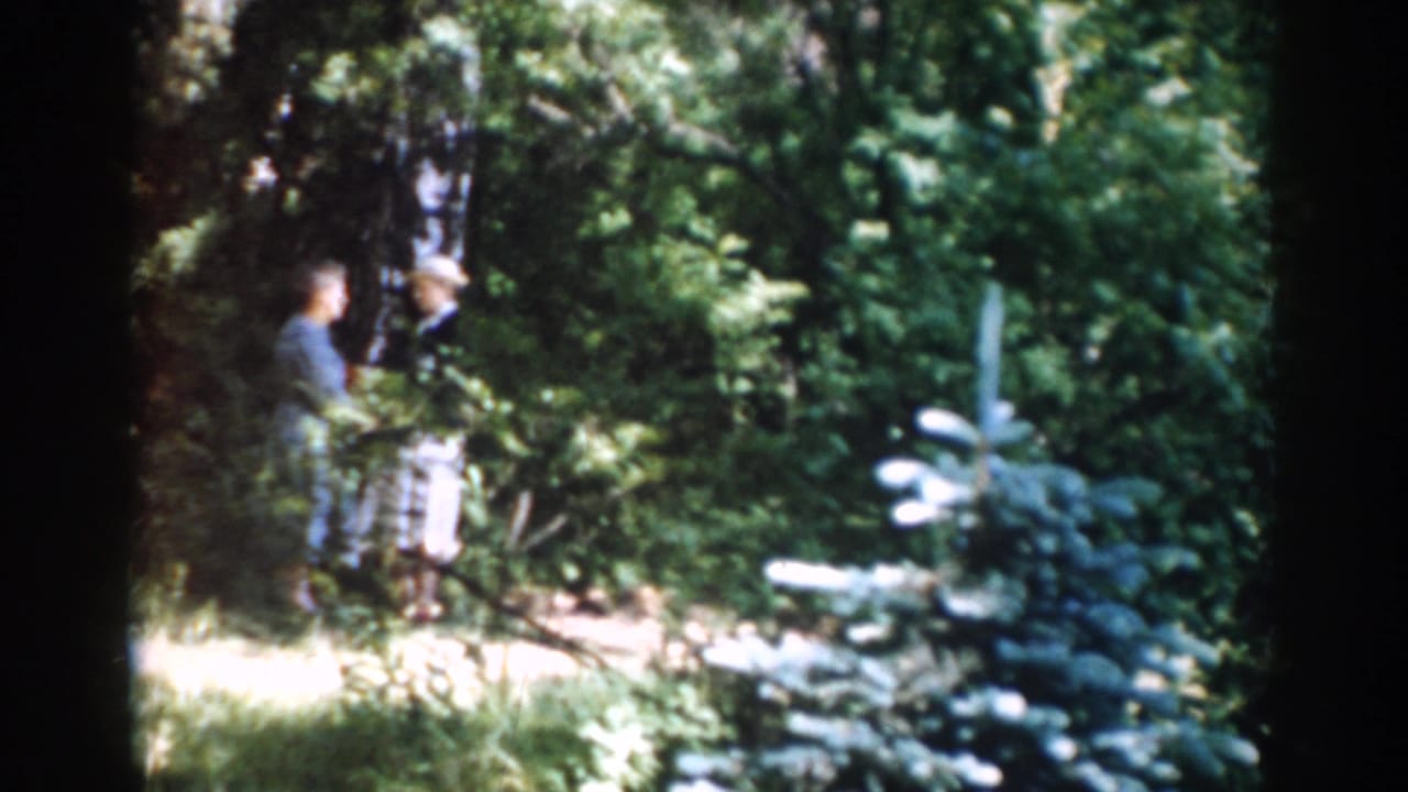 Two adults stand on a wooded path with dense greenery and an evergreen in the foreground.