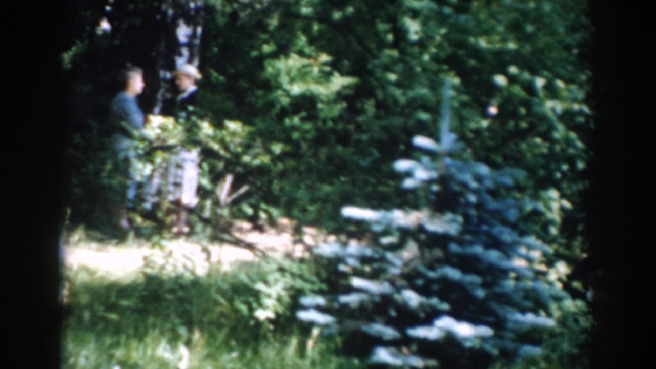 Adults stand near a path in dense woods, partly obscured by trees and foliage.